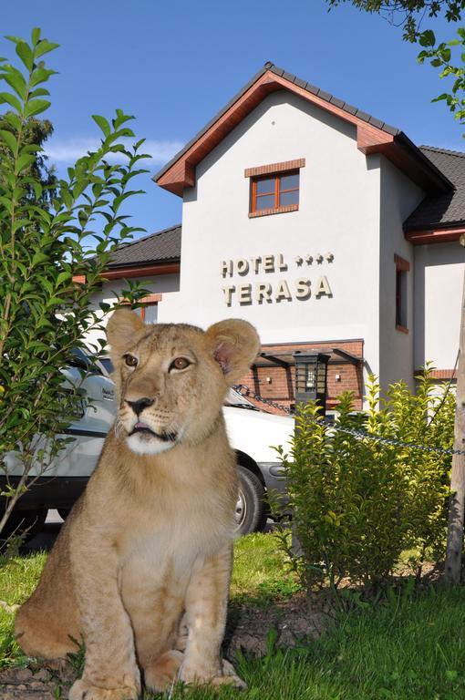 Hotel Terasa Frýdek-Místek エクステリア 写真